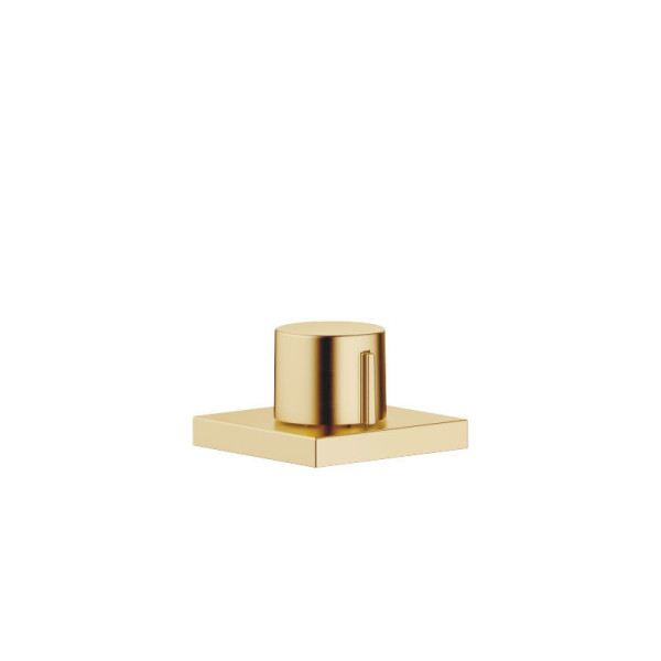 Strainer waste with control handle, brushed Durabrass