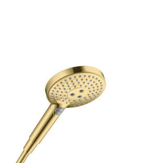 HG Raindance Select S 120 ruční sprcha vzhled leštěného zlata