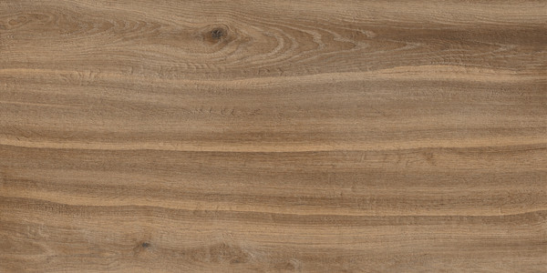 WOODFEEL SIENA 120×60 dlažba