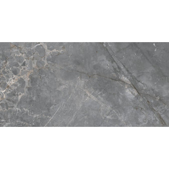 FIOR DI BOSCO GREY STARLIGHT 120×60 dlažba