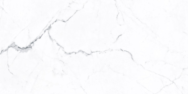 STATUARIO WHITE STARLIGHT 120×60 dlažba