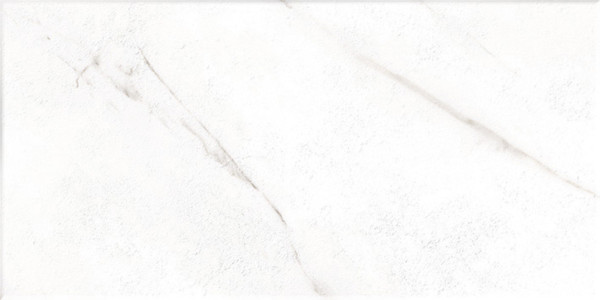 MARBLEOUS WHITE MATT 25×50 obklad