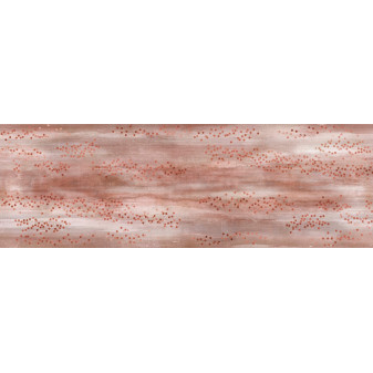 CAPITOL DECOR CORAL 30×90 dekor