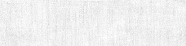 Tapiz Blanco obklad 10×40 cm