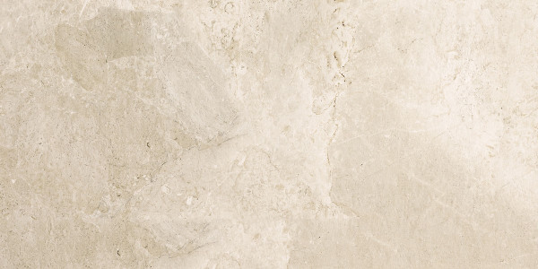 NOBLE BEIGE 60X30 8MM